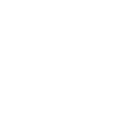 Feed the Duck